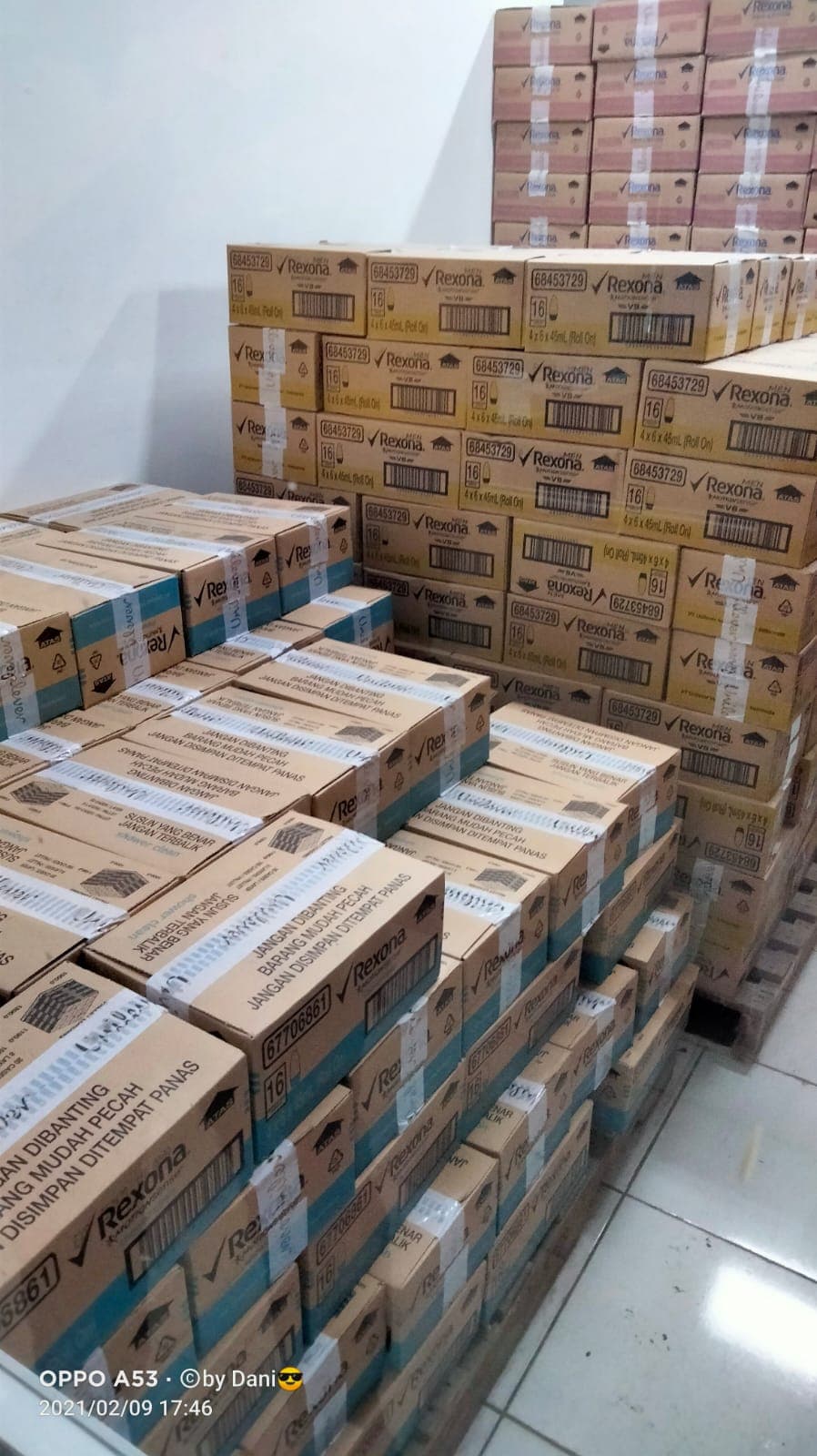 Kanaya Cargo Gallery Image 6